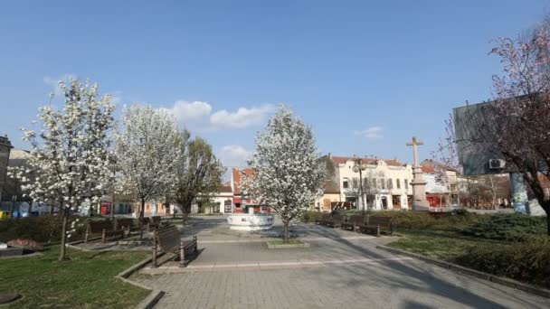Time Lapse Çiçek Açan Ağaçlarla Dolu Boş Bir Şehir Meydanı — Stok video