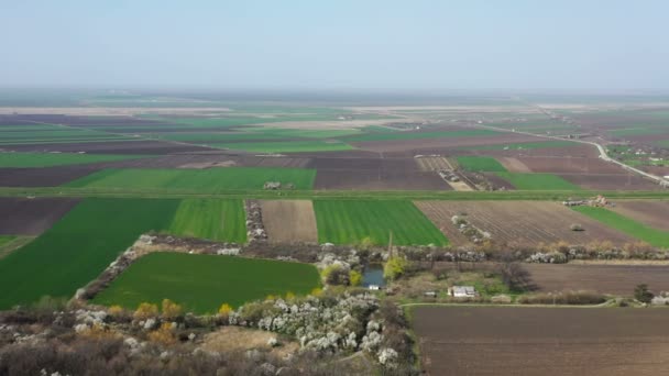 春には果樹園や農地との上からパンノニア平原のパノラマ ドローンの空中射撃 — ストック動画