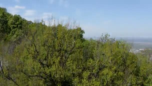 Die Stadt Erscheint Hinter Dem Hügel Drohne Schießt Von Baumwipfel — Stockvideo