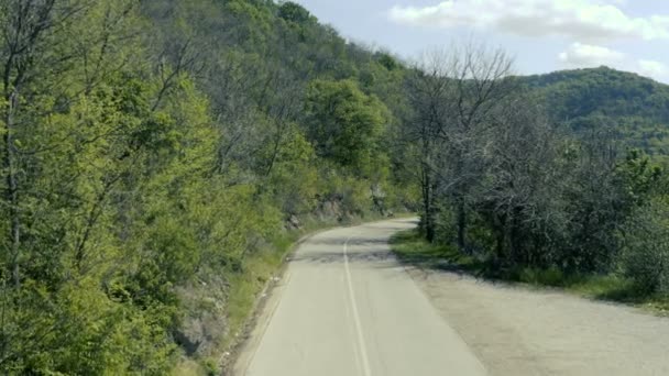 Asphaltstraße Durch Den Wald Drohne Bewegt Sich Auf Einer Straße — Stockvideo