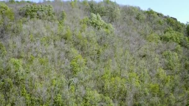 Tepenin Arkasında Ovanın Panoramasıyla Tepenin Üzerinden Uçmak Hava Aracı Yukarı — Stok video