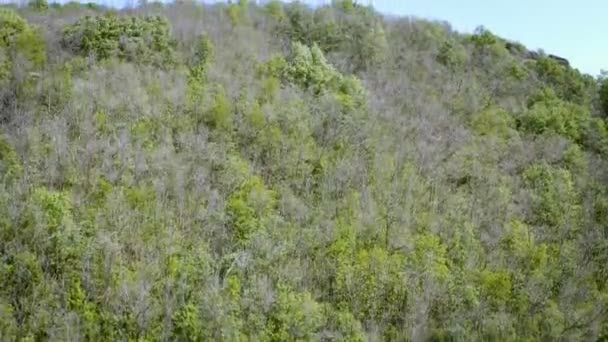 vol au-dessus de la colline avec un panorama de la plaine derrière la colline - tir de drone aérien se déplaçant vers le haut 
