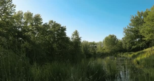 Кран Знятий Озером Посеред Нізвідки Трав Янистому Пляжі — стокове відео
