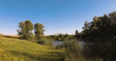 Kırsal bir gölün kıyısında, yabanda yerden çekilen bir turna.