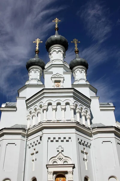 Cattedrale di Vladimir icona della Madre di Dio a Kronstadt — Foto Stock