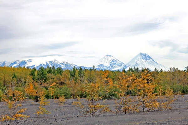 Klyuchevskaya Gruppe von Vulkanen in kamchatka Halbinsel, Russland — Stockfoto