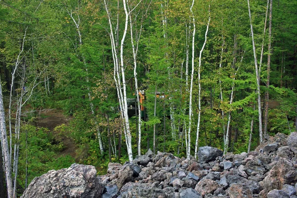 Vista da floresta a partir da borda do campo de lava congelada. Ka — Fotografia de Stock