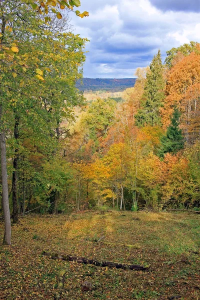 Otoño en Sigulda, Letonia —  Fotos de Stock