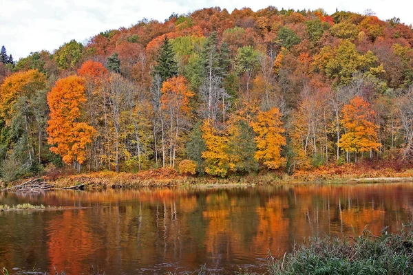 ラトビアのシグルダの秋 — ストック写真