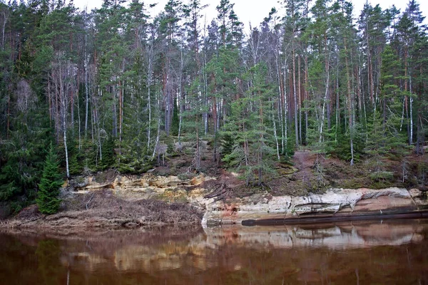 Gauja Letonya Nın Letonya Daki Akışını Başlatan Sona Erdiren Tek — Stok fotoğraf