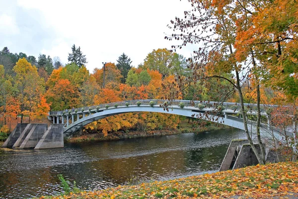 Ogre Lettland Oktober 2019 Ogre Flod Höstlandskap Stadsparken — Stockfoto