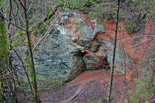 Natura Siguldzie Łotwa Sigulda Jest Popularnym Miejscem Wypoczynku — Zdjęcie stockowe