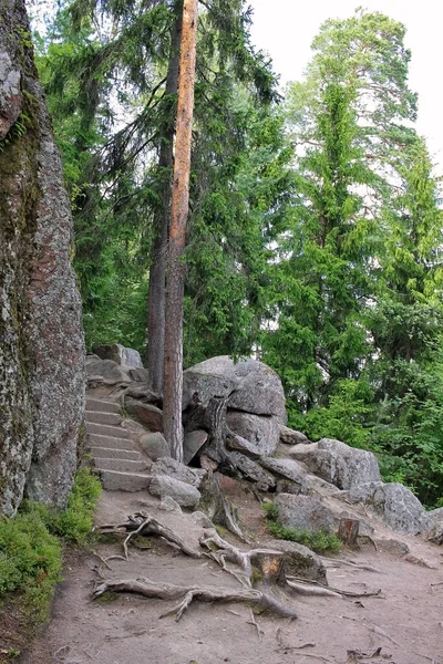 Monrepos Rozsáhlý Anglický Krajinářský Park Severní Části Vyborgu Rusku Park — Stock fotografie