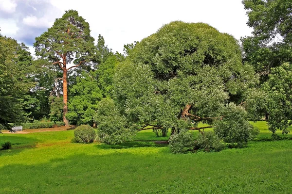 Monrepos Extensive English Landscape Park Northern Part Vyborg Russia Park — Stock Photo, Image