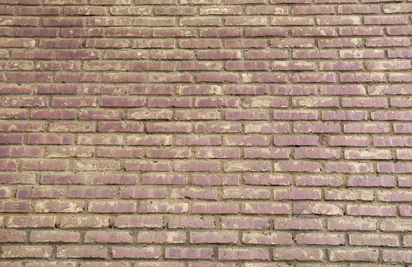Grunge Color Brick Wall Background — Stock Photo, Image