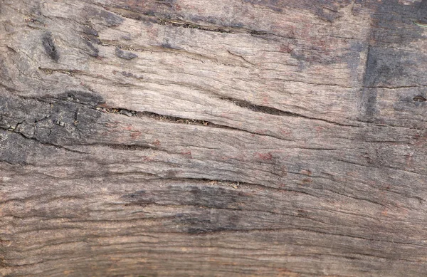 Drewniana Powierzchnia Tekstury Tło Rozmytym Tłem — Zdjęcie stockowe
