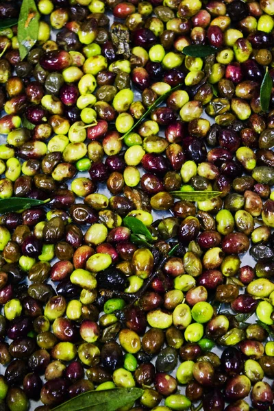 Aceitunas Koroneiki Proceso Lavado Limpieza Proceso Extracción Aceite Oliva Virgen — Foto de Stock