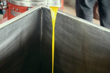 Yunanistan 'daki zeytinyağı fabrikasında ekstra bakire zeytin yağı çıkarma işlemi.