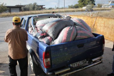 Attica, Yunanistan, Kasım 12019 - Yunanistan 'daki zeytinyağı fabrikasının dışındaki kamyonda toplanan zeytinler.