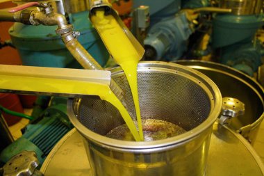 Extra virgin olive oil extraction process in olive oil mill in Greece. clipart