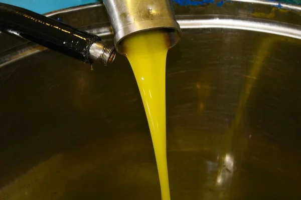Yunanistan 'daki zeytinyağı fabrikasında ekstra bakire zeytin yağı çıkarma işlemi.