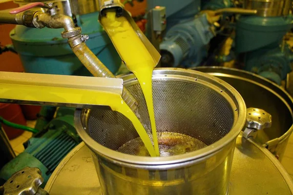 Yunanistan 'daki zeytinyağı fabrikasında ekstra bakire zeytin yağı çıkarma işlemi.