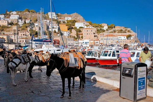 Mezci Čekající Turisty Přístavu Hydra Island Řecko Září 2015 — Stock fotografie