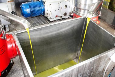 Yunanistan 'daki zeytinyağı fabrikasında ekstra bakire zeytin yağı çıkarma süreci, 11 Kasım 2019.