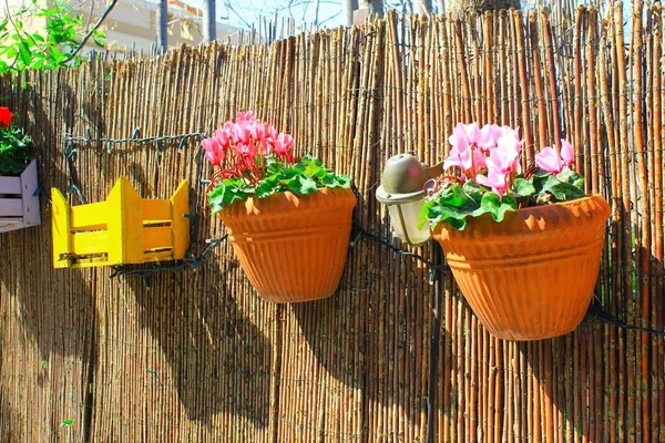 Decorative Wooden Crates Flower Pots Garden Fence — Stock Photo, Image