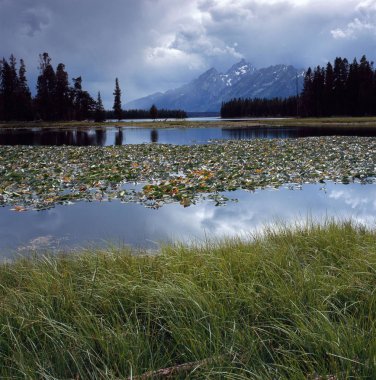 Heron gölet, Grand Teton Milli Parkı, Wyoming üzerinde fırtına