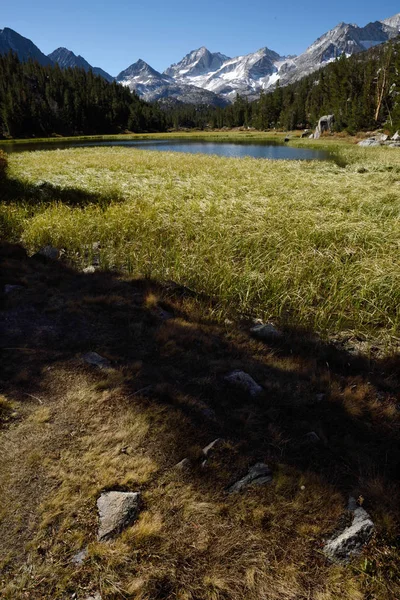 Gölet küçük Lakes Valley, Inyo Ulusal Ormanı, Sierra Nevada, California