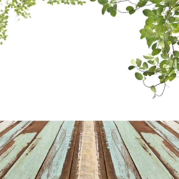 Boden mit grünen Blättern — Stockfoto