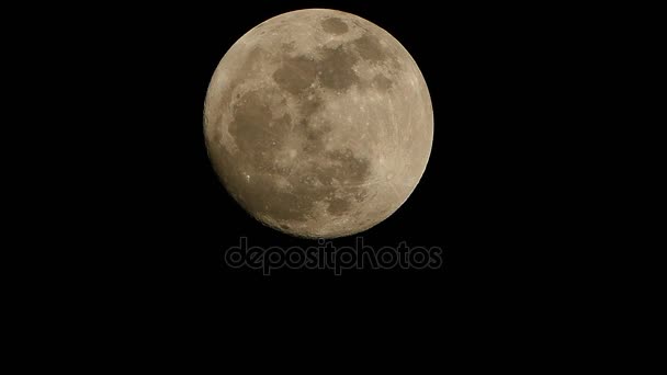 Super Full Moon in night sky — Stock Video