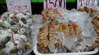 Taze karides ve balık ahır buzda kalamar