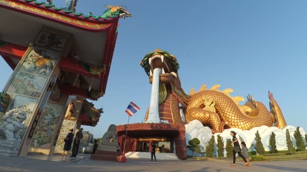 İnsanlar yeni yıl 2017 Dragon soyundan Müzesi'nde parkta kutlamak — Stok video