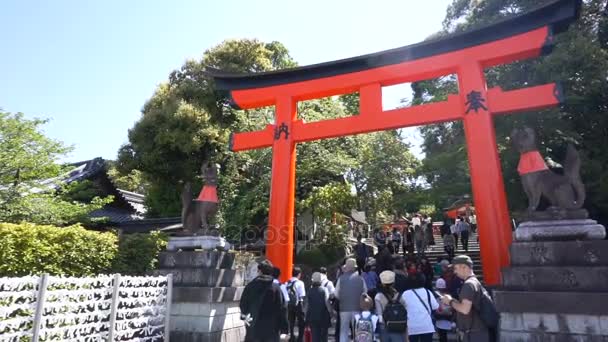 La visita turística hermosa arquitectura templo del santuario de Fushimi Inari — Vídeo de stock