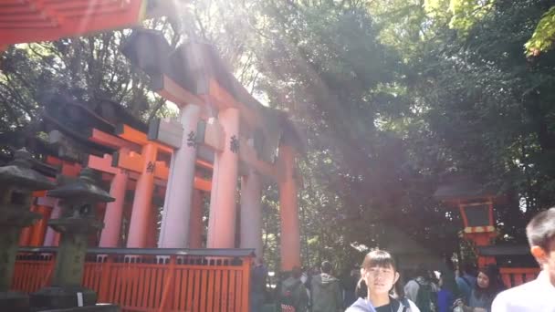 A turista látogasson el a gyönyörű építészeti Fushimi Inari Shrine temple — Stock videók