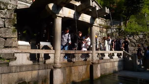 Turista recogiendo agua de la cascada Otowa-no-taki — Vídeos de Stock