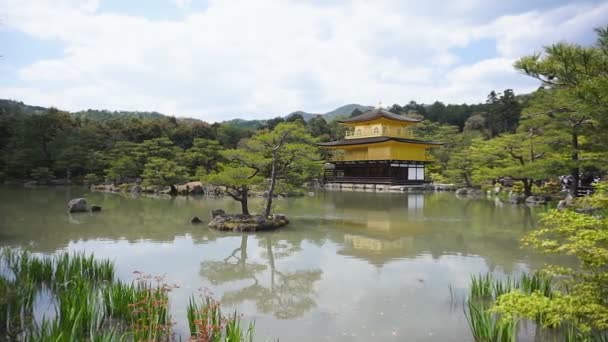 Κιότο Ιαπωνία Απριλίου Όμορφο Ζεν Βουδιστές Ναό Χρυσό Περίπτερο Kinkakuji — Αρχείο Βίντεο