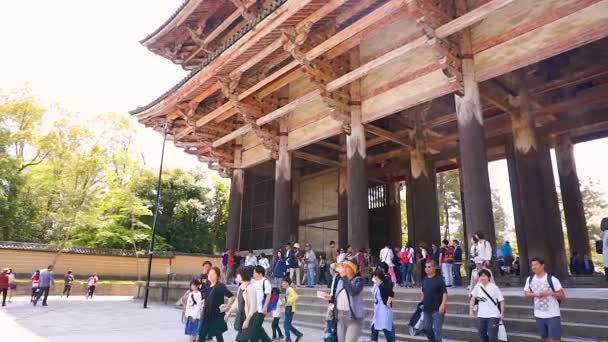 Нара Японія Квітня Туристів Японської Йдучи Великий Антикварний Вхідних Дерев — стокове відео