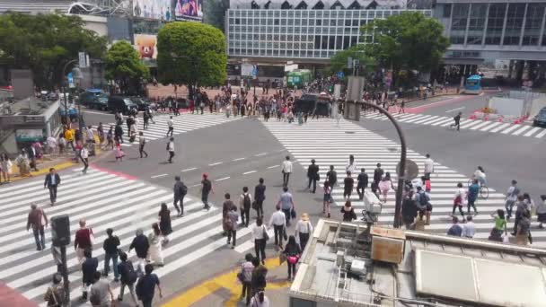 Imágenes en cámara lenta de peatones no identificados cruzando el cruce Shibuya — Vídeo de stock