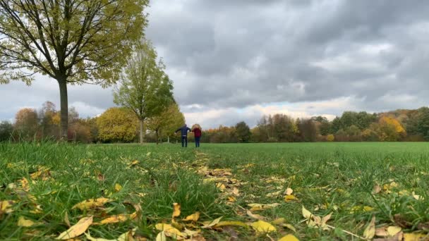 女性を持つ中年男性は 秋と境界線 散歩の概念 異性間の人々の関係にフィールドを渡って手を歩く — ストック動画