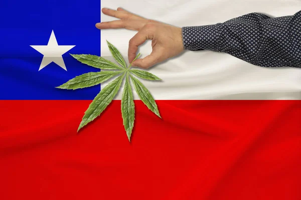 Πράσινο φύλλο κάνναβης στο χέρι ενός άνδρα στο φόντο μιας έγχρωμου σημαίας, η έννοια της νομιμοποίησης, του εμπορίου, της παραγωγής και της χρήσης ναρκωτικών στη χώρα — Φωτογραφία Αρχείου