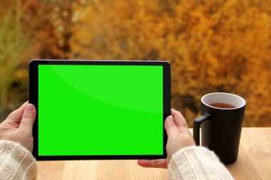 Kızın elinde önceden ayarlanmış yeşil ekranlı tablet, sonbahar sarısı ve portakal ağaçlarının üzerinde terasında çay olan siyah bardak, doğada samimi sonbahar kavramı, kopyalama alanı. Ekran birleşimi için mükemmel
