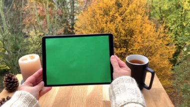 Kızın elinde önceden ayarlanmış yeşil ekranlı tablet, sonbahar sarısı ve portakal ağaçlarının üzerinde terasında çay olan siyah bardak, doğada samimi sonbahar kavramı, kopyalama alanı. Ekran birleşimi için mükemmel