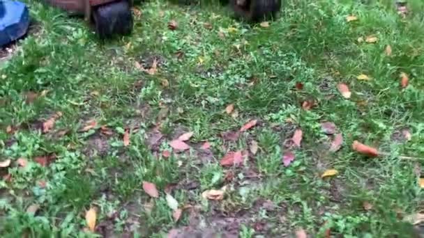 Grande Máquina Cortador Grama Cortando Grama Rotativa Com Grama Verde — Vídeo de Stock