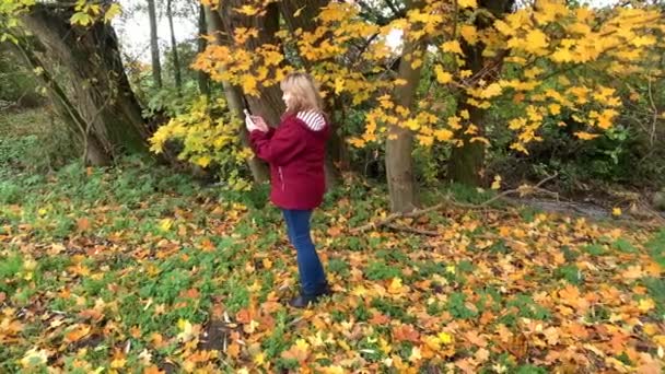 青いジーンズの中年女性と黄色とオレンジの木々の間の秋の公園でバーガンディジャケット 葉の秋 感情的に電話で話して コミュニケーションの概念 — ストック動画