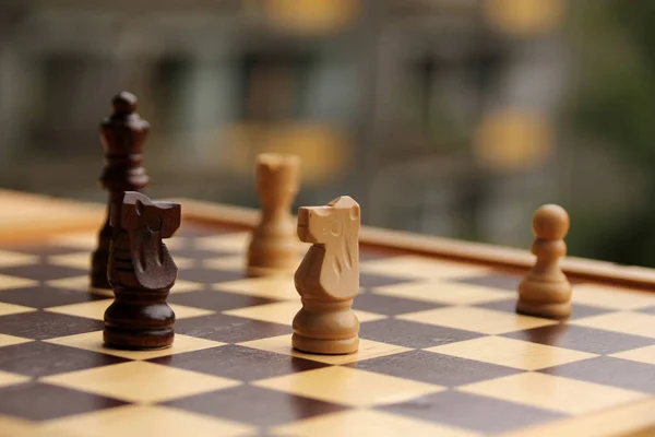 Pezzi di legno, cavalli a scacchi, bianco e marrone scuro su una scacchiera, concetto di gioco — Foto Stock