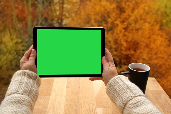 Frauenhände halten Tablet-PC mit vorprogrammiertem grünem Bildschirm, schwarzer Becher mit Tee auf der Terrasse über herbstgelben und orangefarbenen Bäumen, Konzept des gemütlichen Herbstes, Kopierraum. perfekt für Screen Compositing — Stockfoto