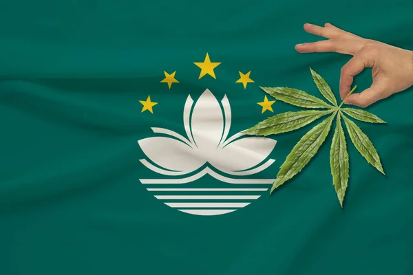 Mão masculina segura uma folha verde de cânhamo contra o fundo da bandeira nacional de Macau em seda brilhante delicada, conceito de uso e proibição de drogas, close-up, espaço de cópia — Fotografia de Stock